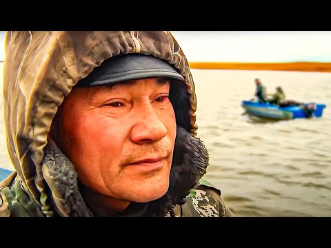 Видео: Будет рыба, будет жизнь. Документальный фильм | Полярные истории