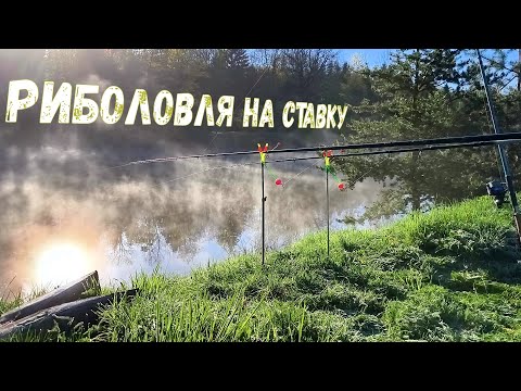 Видео: Риболовля на ставку у квітні. Флет фідер, ПВА.
