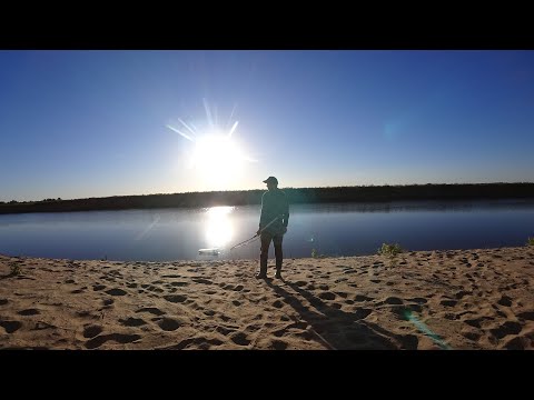 Видео: ЭТОЙ НОЧЬЮ НИКТО НЕ СПИТ. РЫБАЛКА С НОЧЁВКОЙ. Сазан на закидушки. Рыбалка на поплавок.