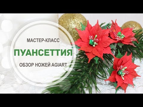 Видео: Обзор ножей AgiArt.ru для создания пуансеттий + МК!