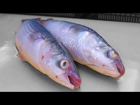 Видео: Сашими из кефали, техника нарезки, лучший вкус зимой.