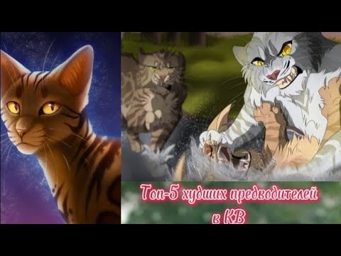 Видео: Топ-5 худших предводителей в Котах-Воителях
