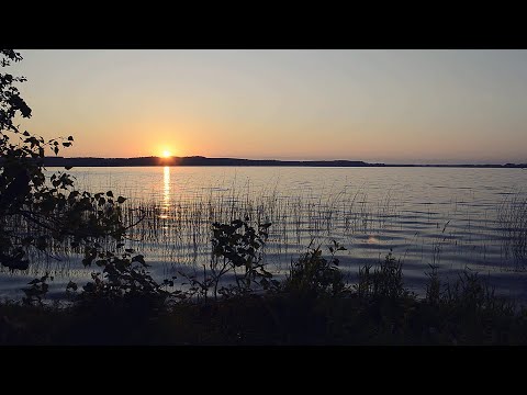 Видео: РЫБАЛКА на БРАСЛАВСКИХ озерах. Рыбалка на фидер. За крупным лещом.