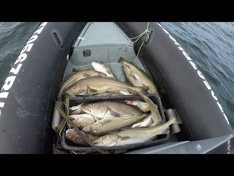 Видео: Рыбалка УДАЛАСЬ / Погода СУПЕР