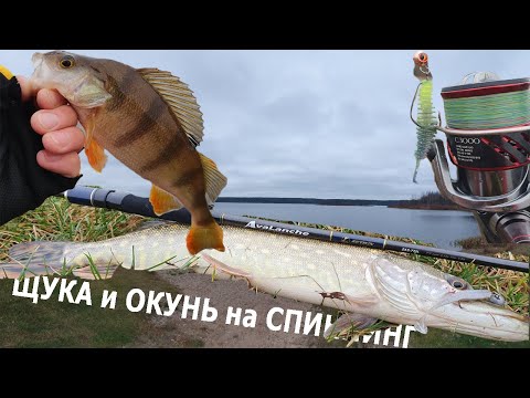 Видео: Ловля щуки и окуня на спиннинг осенью. Обзор Zetrix Avalanche