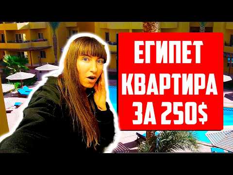 Видео: Сняли квартиру в Египте за 25 000 рублей в месяц. Мы такого не ожидали! Прогулка по Мамше, Хургада