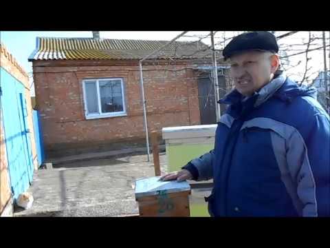 Видео: Нужны ли 6 рамочные нуклеусы из эппс?