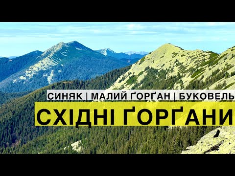 Видео: Гора Синяк, гора Малий Горган, Довбушанка, Буковель 🍁 Осінній похід в Карпати!