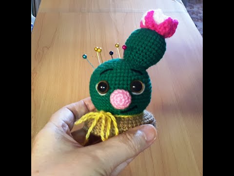 Видео: Игольница Кактус