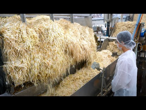 Видео: ТОП-5: Незабываемые японские пищевые фабрики и мастерство!