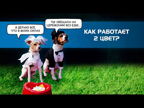 Видео: Как работает цвет на примере С2? [Дизайн Человека]