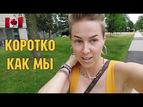 Видео: Немножко про наши будни | Давно не виделись | RomashKA