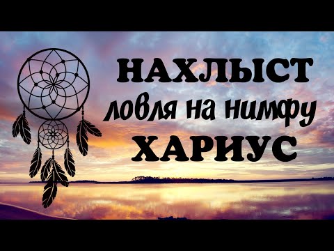 Видео: Нахлыст . Ловля на нимфу . Хариус