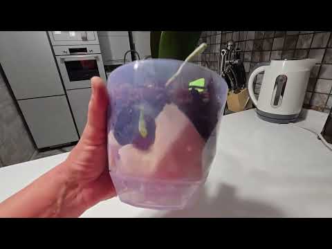 Видео: Несколько новостей об орхидеях. Жизнь автора.