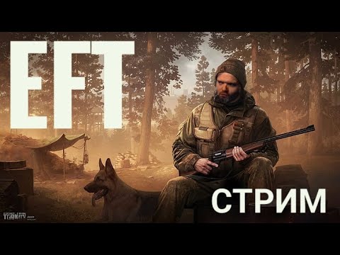 Видео: СТРИМ|  ЗАМЕС В PVE | ESCAPE FROM TARKOV | ЛАГАЕТ? ЕСТЬ ТВИЧ #shorts