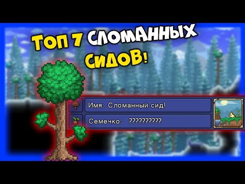 Видео: Топ 7 сломанных и интересных сидов! - Terraria 1.4.2.3!