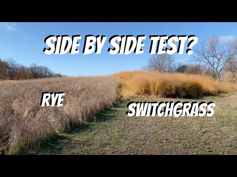 Видео: ИСПРАВЛЕНИЕ ПРОСОСТОЯНИЯ ОЛЕНЯ НЕ ИСПОЛЬЗУЕТСЯ (потому что это случается часто!)