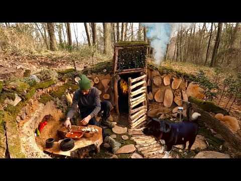 Видео: 14-дневный зимний кемпинг ВЫЖИВАНИЕ. Теплый приют BUSHCRAFT. Как построить ПОДЗЕМНЫЙ ДОМ
