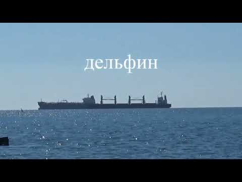 Видео: Туапсе. Прогулка к французскому кораблю" Руссильон". Немного подводного мира. 29 09 2024г.