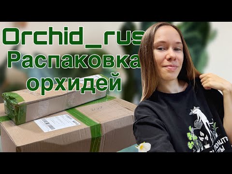 Видео: ОГРОМНАЯ распаковка ОРХИДЕЙ из магазина ORCHID_RUS