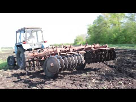 Видео: Дискование поля МТЗ-80.1 с тяжелой бороной БДТ-7(без крыльев)в том числе трудного пырейного участка.