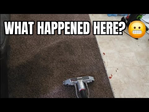 Видео: Чистка липких, грязных, сильно загрязненных ковров