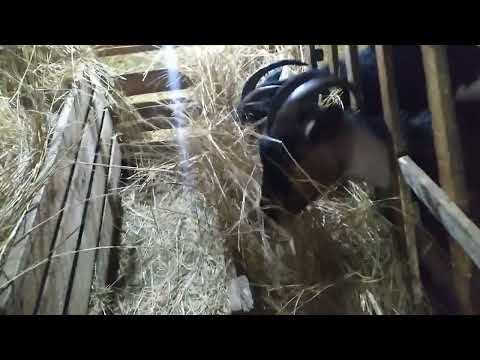 Видео: Наколхозил кормушку для коз) все просто