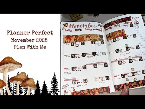Видео: Planner Perfect: ежемесячная настройка на ноябрь 2025 г.