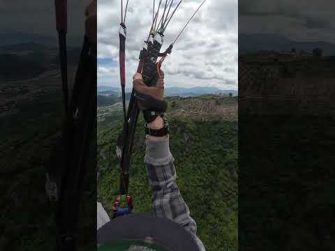 Видео: 10 ноября 2025 г.