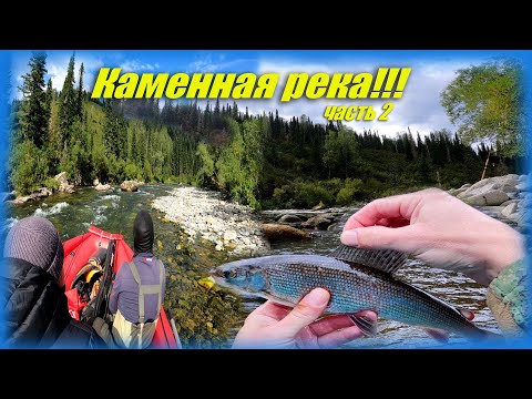 Видео: РЫБАЛКА! ХАРИУС! ИНТЕРЕСНЫЕ МЕСТА!!! КРАСИВАЯ РЕКА!!! #активныйотдых #путешествие #сибирь