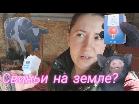 Видео: ЖИВЕМ В ДЕРЕВНЕ: доделали телятник, дежурный свет в курятнике, сломала соковыжималку