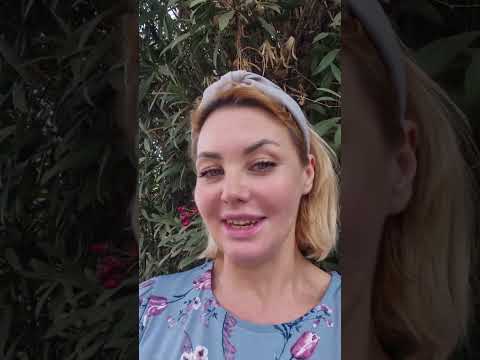 Видео: Демократическая Венесуэла 