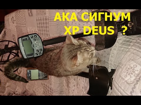 Видео: Какой металлоискатель выбрать АКА СИГНУМ или XP DEUS ?