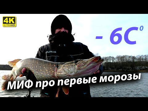 Видео: Миф про Первые морозы - Дикий Клёв ЩУКИ!