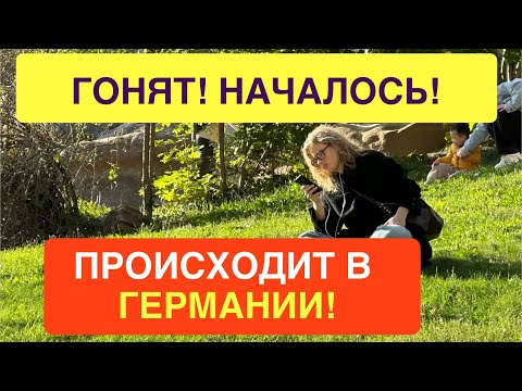 Видео: ШОК! Происходит в Германии. Изменения в…