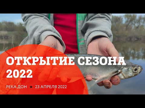 Видео: Открытие сезона 2022 на р. Дон и тест новых насадок.