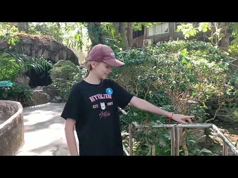 Видео: Зоопарк Khao Kheow и обезьяны Тайланда))