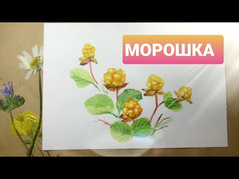 Видео: Рисуем  Ягоду Морошку акварелью. Для начинающих