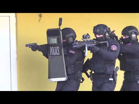 Видео: САЕ Тигар - Тактичко-показна вежба - Упад во објект од копно и воздух