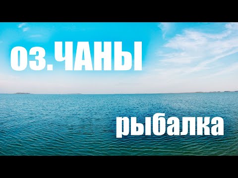 Видео: Рыбалка на Чанах. Озеро Чаны!!!