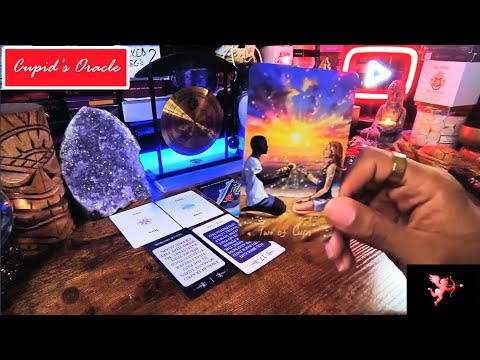 Видео: Они почувствовали, что вы собираетесь причинить им боль! ❤️Они всё испортили!