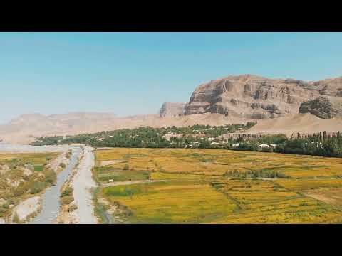 Видео: Шалы (гүрүч) талаалары/ Лейлек району/Ак-Суу айылы