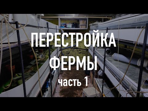 Видео: Перестройка фермы (часть 1)