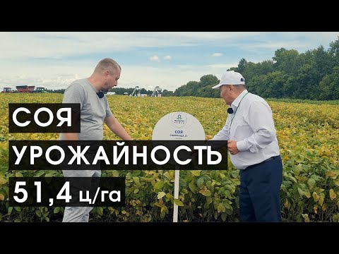 Видео: Соя в Сибири: советы от ведущего селекционера