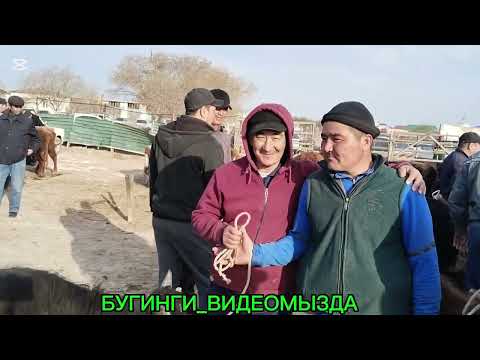 Видео: 2 АПРЕЛЬ 2025 КАРАОЗЕК МАЛ БАЗАР