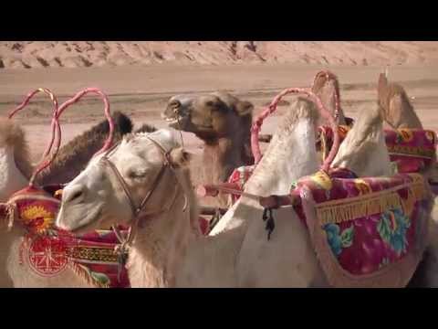 Видео: Экспедиция "По караванному пути Шокана Уалиханова"