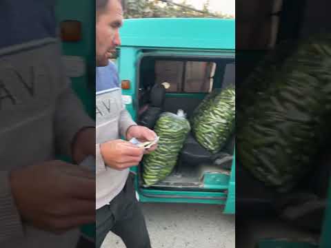 Видео: Олтиариқ бозор БОДРИНГ нархи кўтарилди