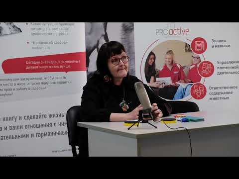 Видео: Слагаемые успеха племенного разведения. (Продолжение)