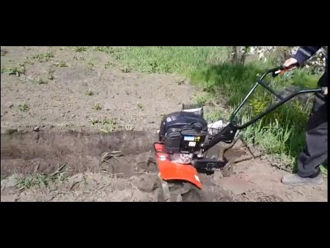 Видео: Мотокультиватор ТАРПАН ТМЗ МК-03. Briggs&Stratton.