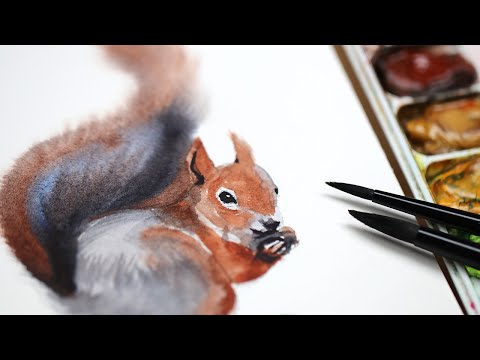 Видео: ЛЕГКО Белка | Урок акварелью в технике «мокрый по мокрому» для начинающих, НЕДЕЛЯ 3